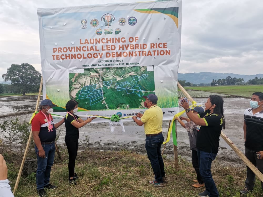 Province-led hybrid rice techno demo launched in Malaybalay City