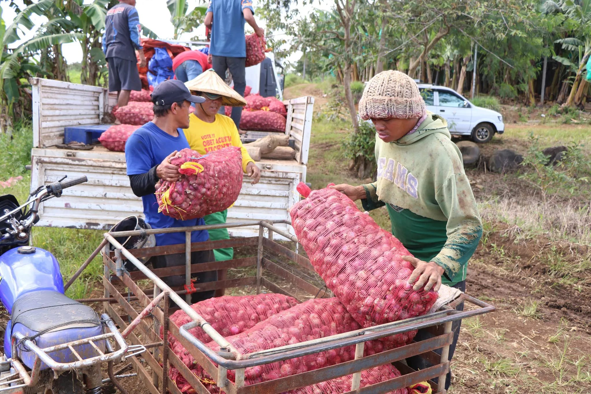 DA-NorMin facilitates market linkage of onion farmer in Bukidnon