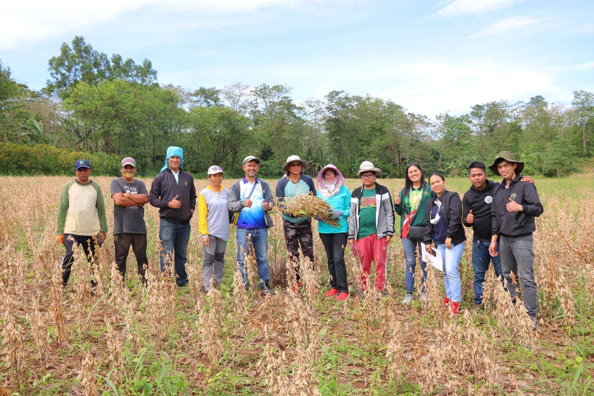 DA-10 leads soybean harvest in Maramag town