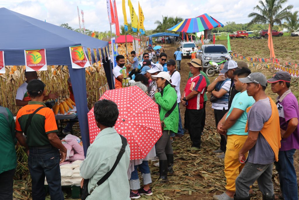 Aggie dept showcases promising corn cultivars in Dangcagan town