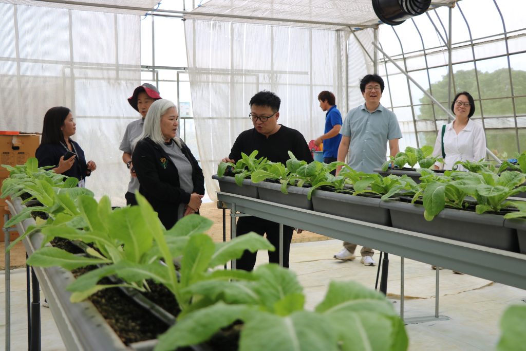 Korean gov’t evaluates DA-RFO 10 SMART greenhouse project