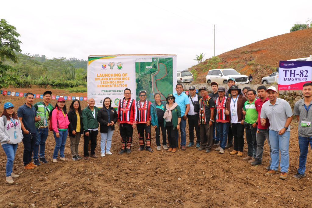 DA-10 launches upland hybrid rice demo farm in Bukidnon