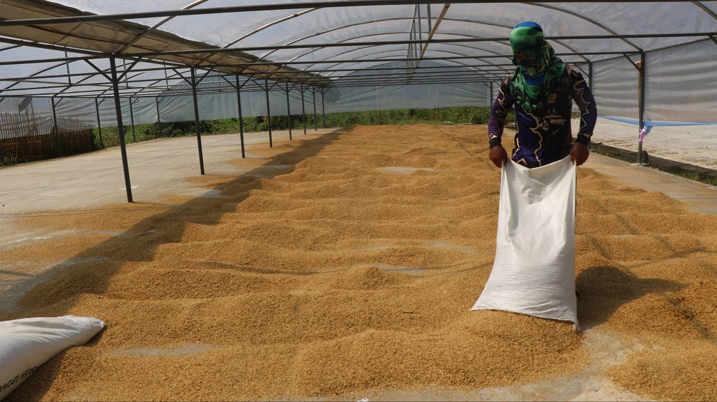 DA-AMIA 10 empowers Bukidnon farmers with drying facility